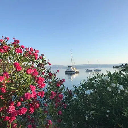 Seaview Oel Nečujam